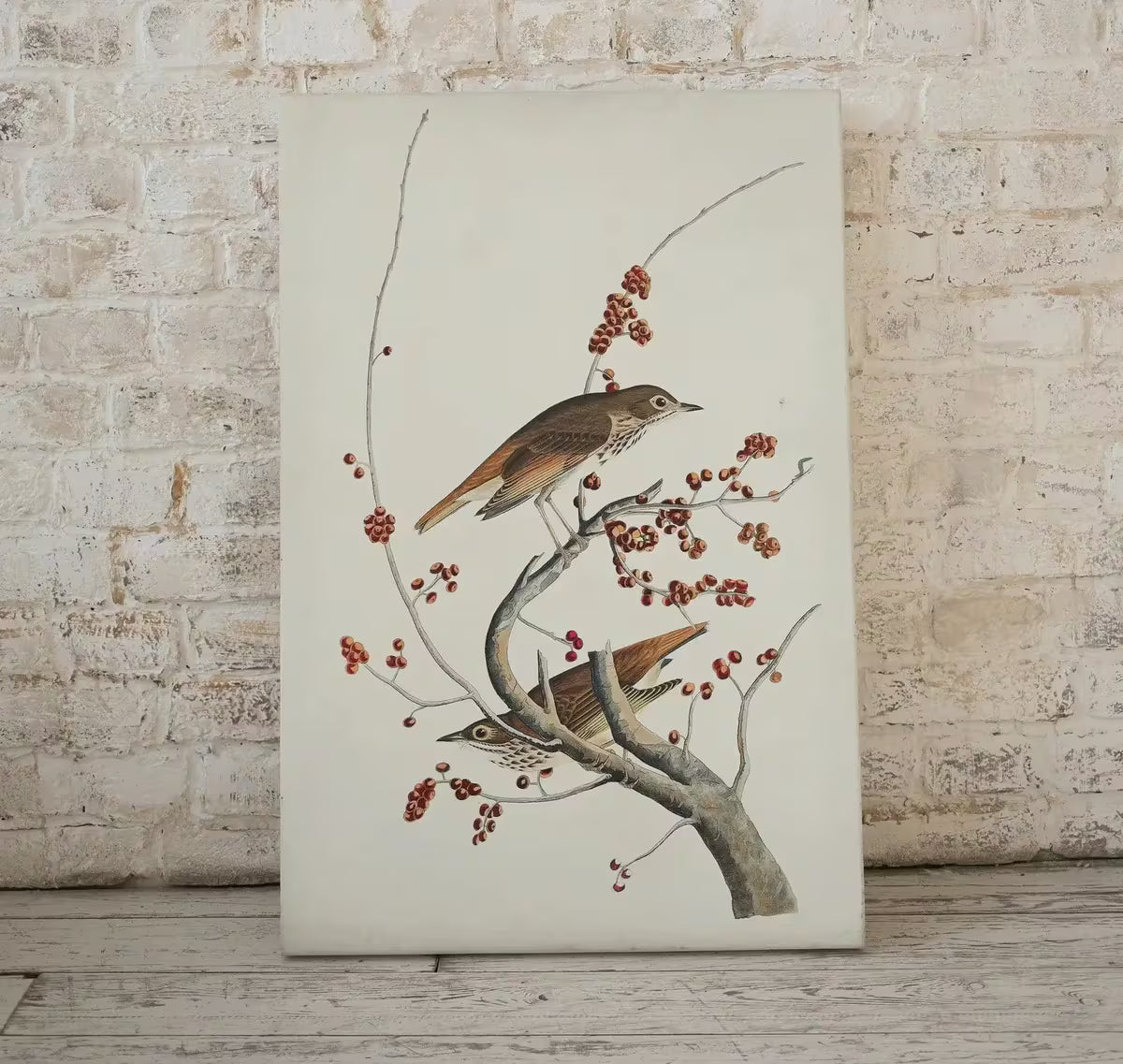 Vintage Birds Perched on Tree Branch Painting. Instant Download Printable Wall Art. Bird Painting. Birds Decor Wall Art Prints. Birds Poster – Printable Wall Art