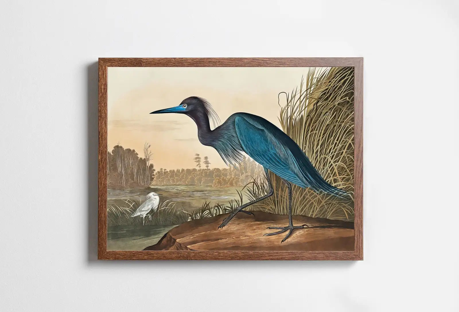 Héron bleu vintage. Art mural imprimable d’oiseau tropical. Décoration naturelle et colorée. Téléchargement instantané. Affiche d’art d’oiseau.