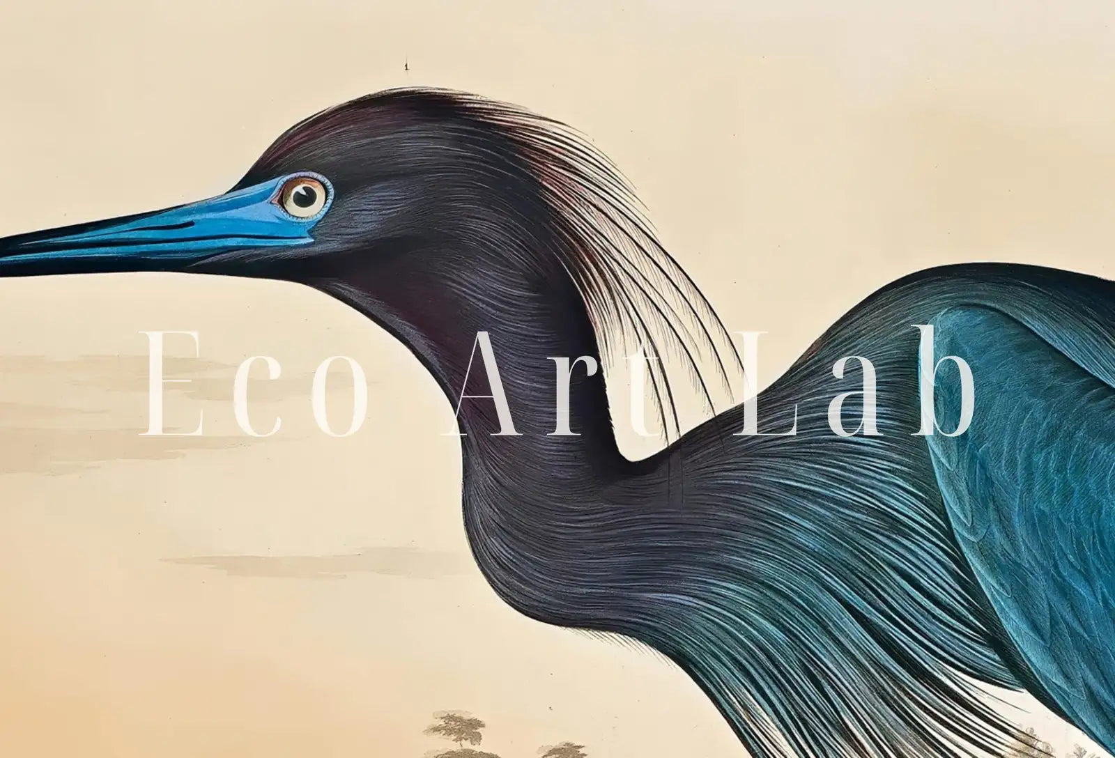Héron bleu vintage. Art mural imprimable d’oiseau tropical. Décoration naturelle et colorée. Téléchargement instantané. Affiche d’art d’oiseau.