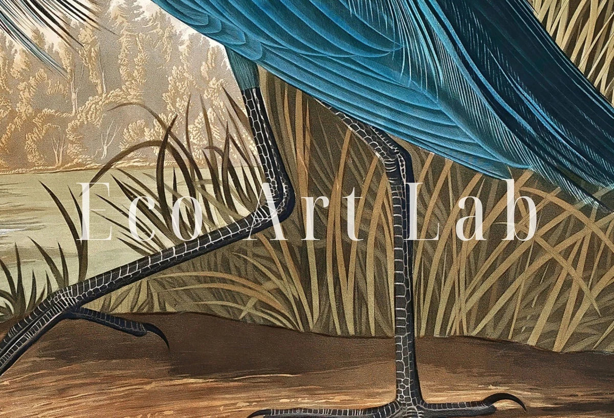 Héron bleu vintage. Art mural imprimable d’oiseau tropical. Décoration naturelle et colorée. Téléchargement instantané. Affiche d’art d’oiseau.