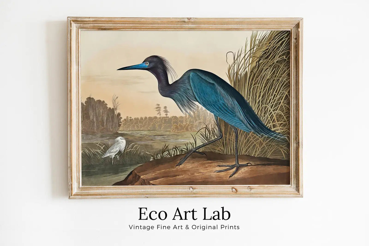 Framed view of Vintage Blue Heron Tropical Bird Printable Wall Art. Wildlife Nature Colorful Tropical Decor. Instant Download. Bird Poster Art Print – printable wall art digital download.