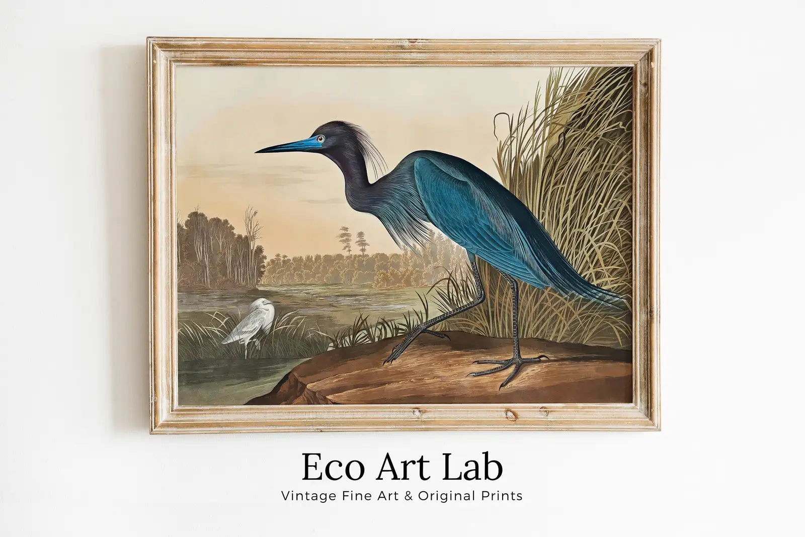 Héron bleu vintage. Art mural imprimable d’oiseau tropical. Décoration naturelle et colorée. Téléchargement instantané. Affiche d’art d’oiseau.