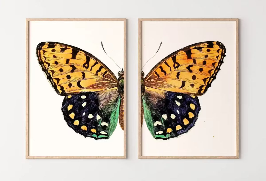 Vintage Butterfly Print, Butterfly Wall Art, Insect Art Nature Phototgraphy, Retro Antique Illustration, Printable Wall Art Set of 2 Prints – Printable Wall Art Set