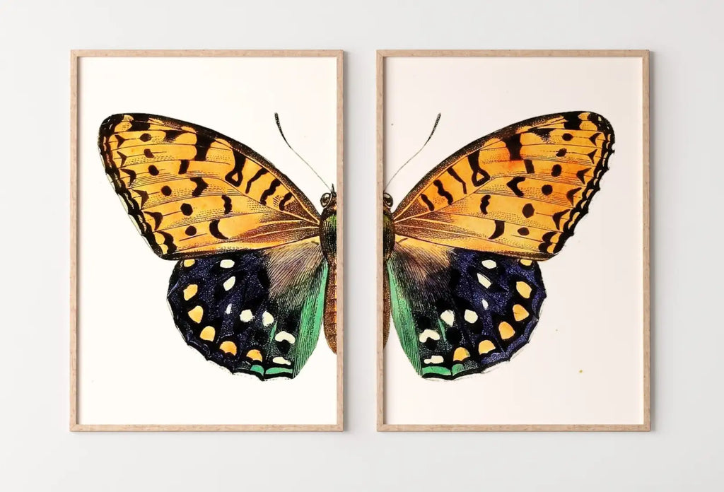Framed view of Vintage Butterfly Print, Butterfly Wall Art, Insect Art Nature Phototgraphy, Retro Antique Illustration, Printable Wall Art Set of 2 Prints – printable wall art digital download.