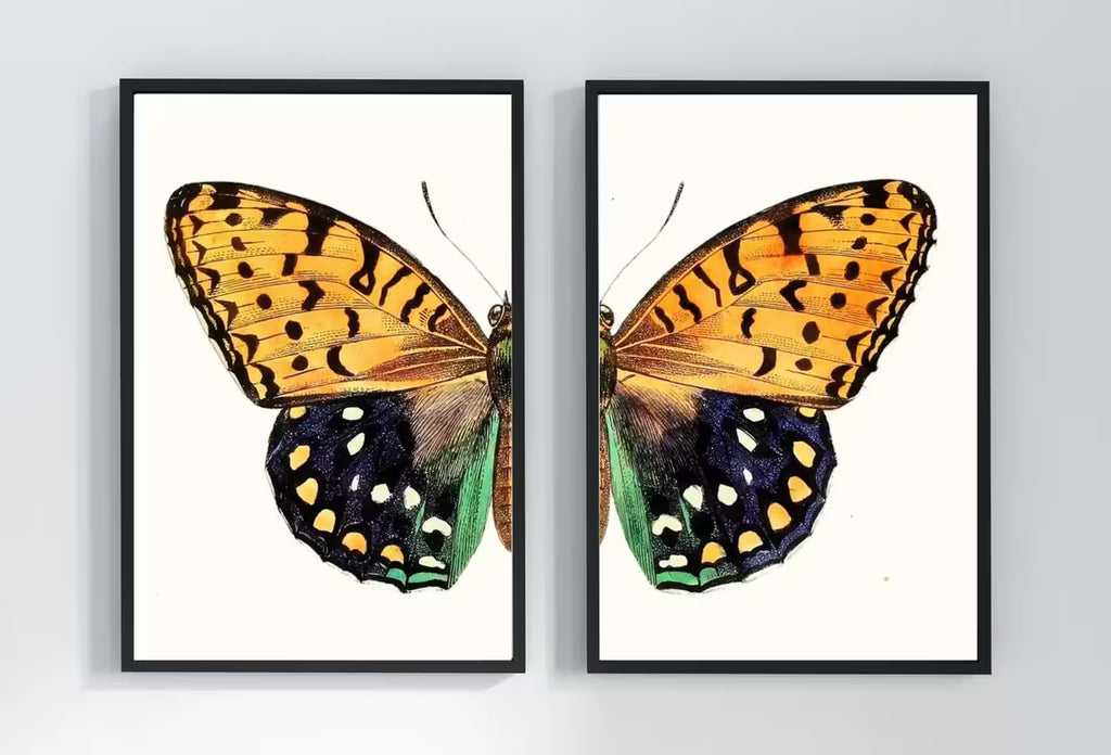 Vintage Butterfly Print, Butterfly Wall Art, Insect Art Nature Phototgraphy, Retro Antique Illustration, Printable Wall Art Set of 2 Prints – Printable Wall Art Set
