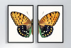 Second included artwork preview from Vintage Butterfly Print, Butterfly Wall Art, Insect Art Nature Phototgraphy, Retro Antique Illustration, Printable Wall Art Set of 2 Prints featuring various scenes.