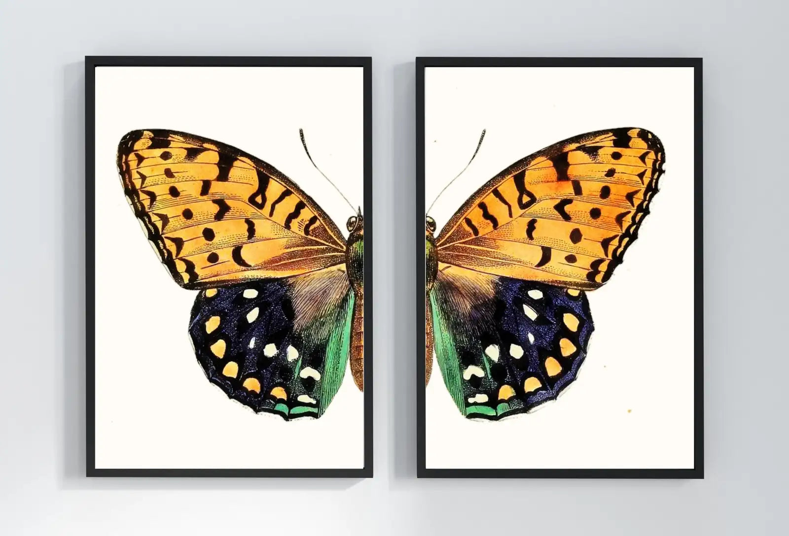 Second included artwork preview from Vintage Butterfly Print, Butterfly Wall Art, Insect Art Nature Phototgraphy, Retro Antique Illustration, Printable Wall Art Set of 2 Prints featuring various scenes.