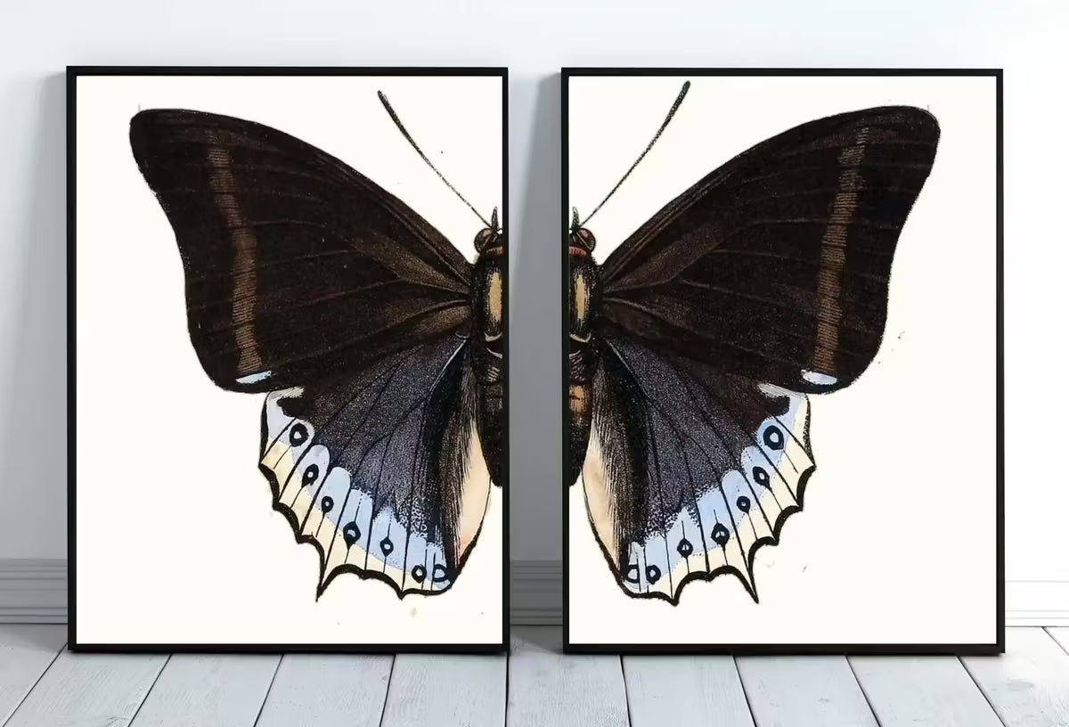 Vintage Butterfly Set of 2 Prints Butterfly Wall Art, Insect Art Nature Painting, Retro Antique Illustration Printable Wall Art Insect Print – Printable Wall Art Set