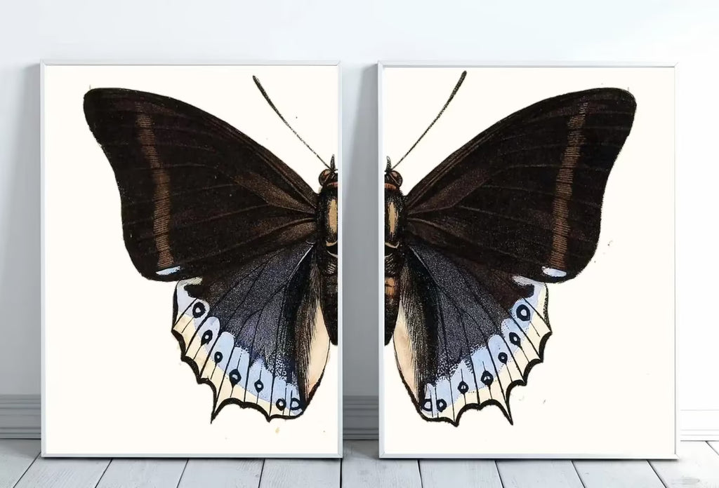 Vintage Butterfly Set of 2 Prints Butterfly Wall Art, Insect Art Nature Painting, Retro Antique Illustration Printable Wall Art Insect Print – Printable Wall Art Set