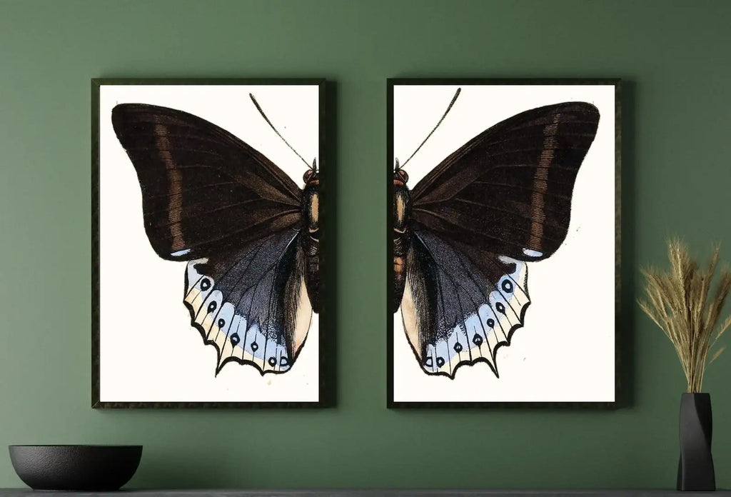 Included artwork preview showing first selection of artworks from Vintage Butterfly Set of 2 Prints Butterfly Wall Art, Insect Art Nature Painting, Retro Antique Illustration Printable Wall Art Insect Print.