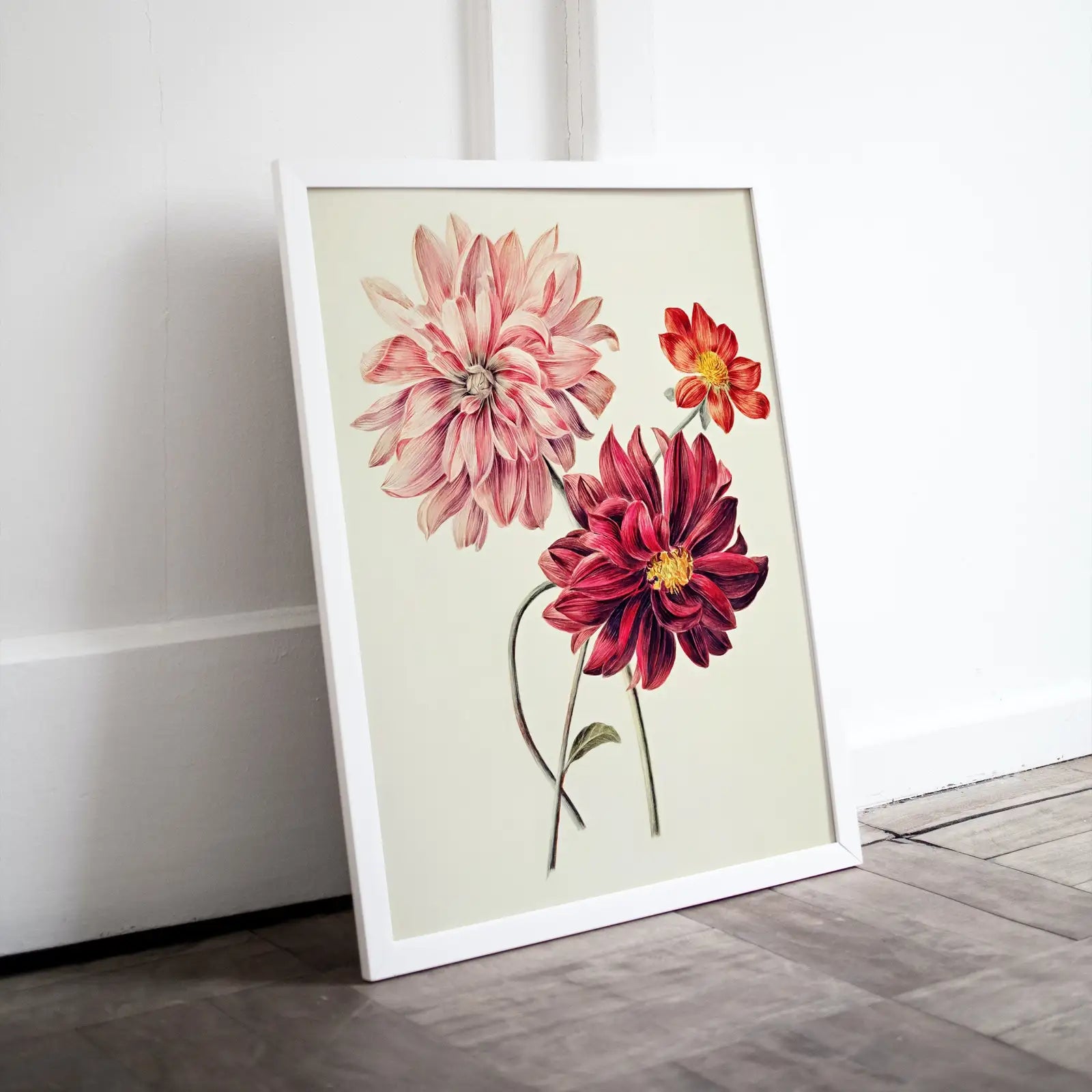 Art mural imprimable de dahlias vintage. Peinture de dahlias roses et rouges. Illustration florale instantanée et impression botanique. Art floral imprimable.