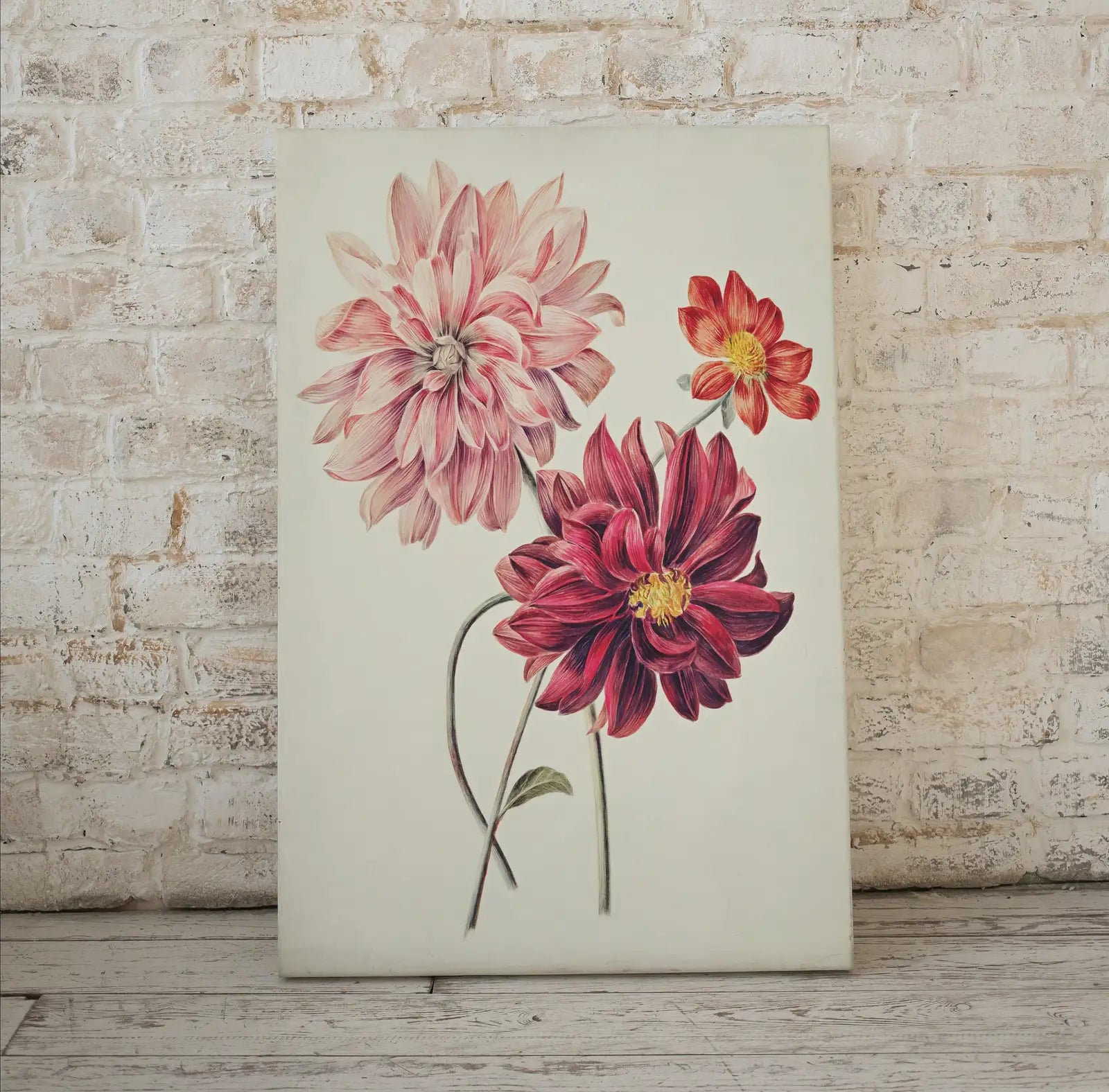 Art mural imprimable de dahlias vintage. Peinture de dahlias roses et rouges. Illustration florale instantanée et impression botanique. Art floral imprimable.