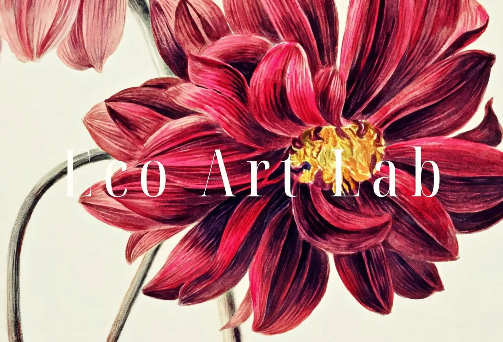 Art mural imprimable de dahlias vintage. Peinture de dahlias roses et rouges. Illustration florale instantanée et impression botanique. Art floral imprimable.