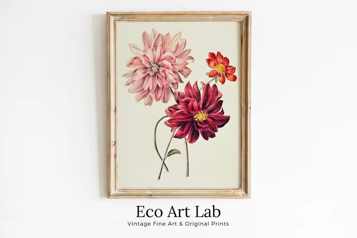 Vintage Dahlia Printable Wall Art. Pink & Red Dahlias Painting. Instant Download Floral Illustration Botanical Print. Printable Flower Art – Printable Wall Art