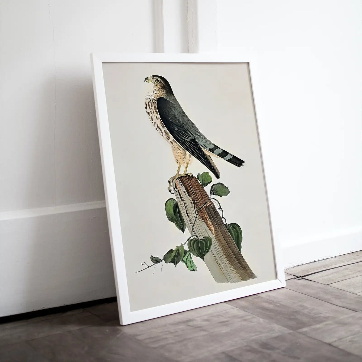 Included artwork preview showing first selection of artworks from Vintage Falcon Perched on Branch Painting. Instant Download Printable Wall Art. Bird Painting. Merlin Falcon Wall Art Prints. Birds Poster.
