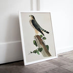 Included artwork preview showing first selection of artworks from Vintage Falcon Perched on Branch Painting. Instant Download Printable Wall Art. Bird Painting. Merlin Falcon Wall Art Prints. Birds Poster.