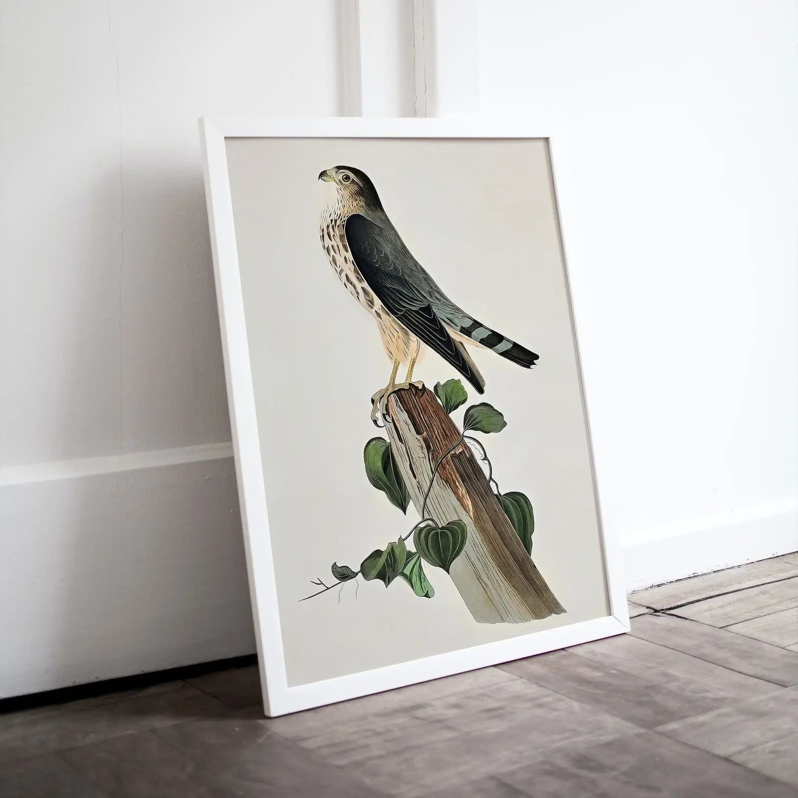 Vintage Falcon Perched on Branch Painting. Instant Download Printable Wall Art. Bird Painting. Merlin Falcon Wall Art Prints. Birds Poster – Printable Wall Art Digital Download – Digital Download
