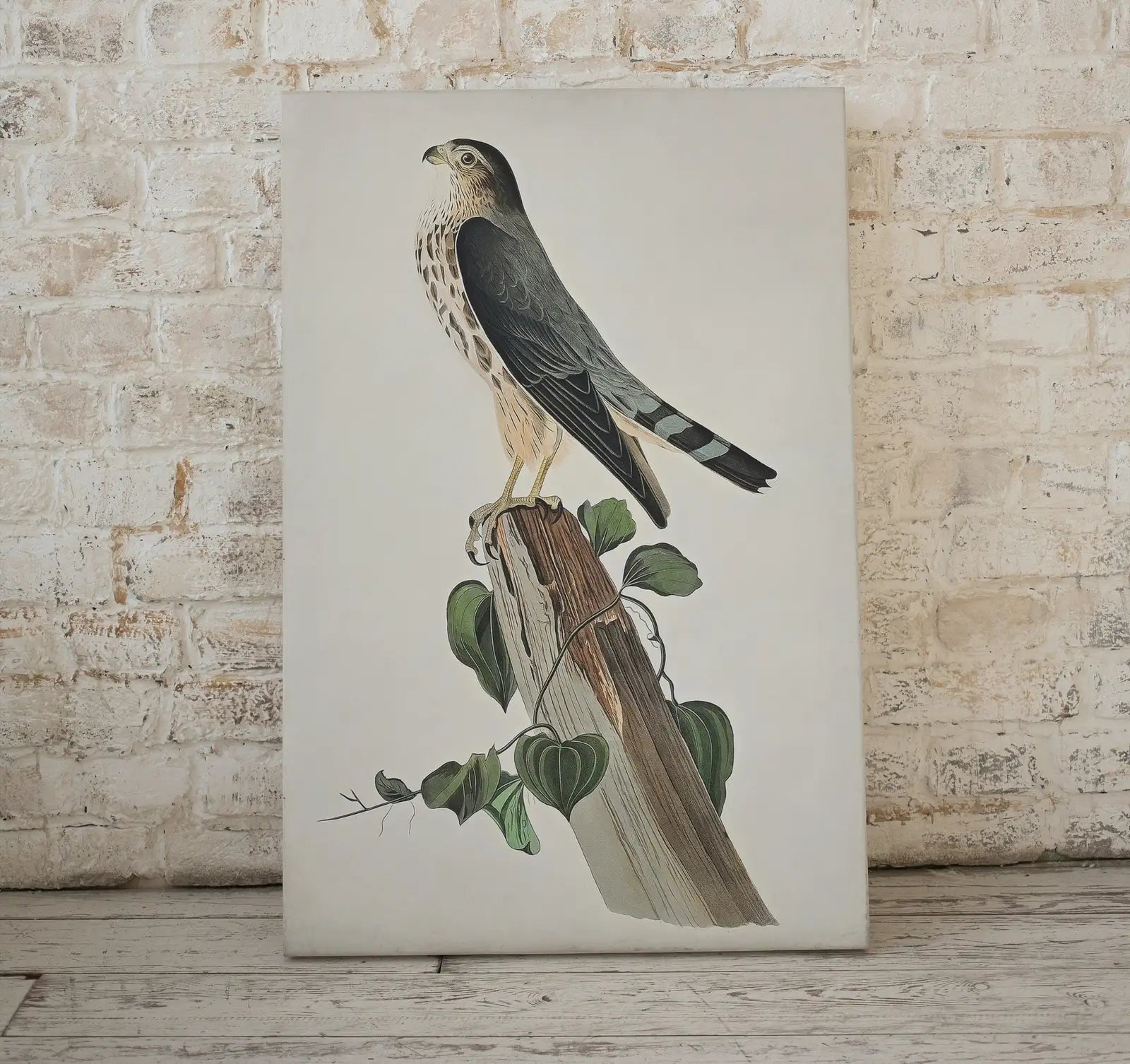 Vintage Falcon Perched on Branch Painting. Instant Download Printable Wall Art. Bird Painting. Merlin Falcon Wall Art Prints. Birds Poster – Printable Wall Art Digital Download – Digital Download