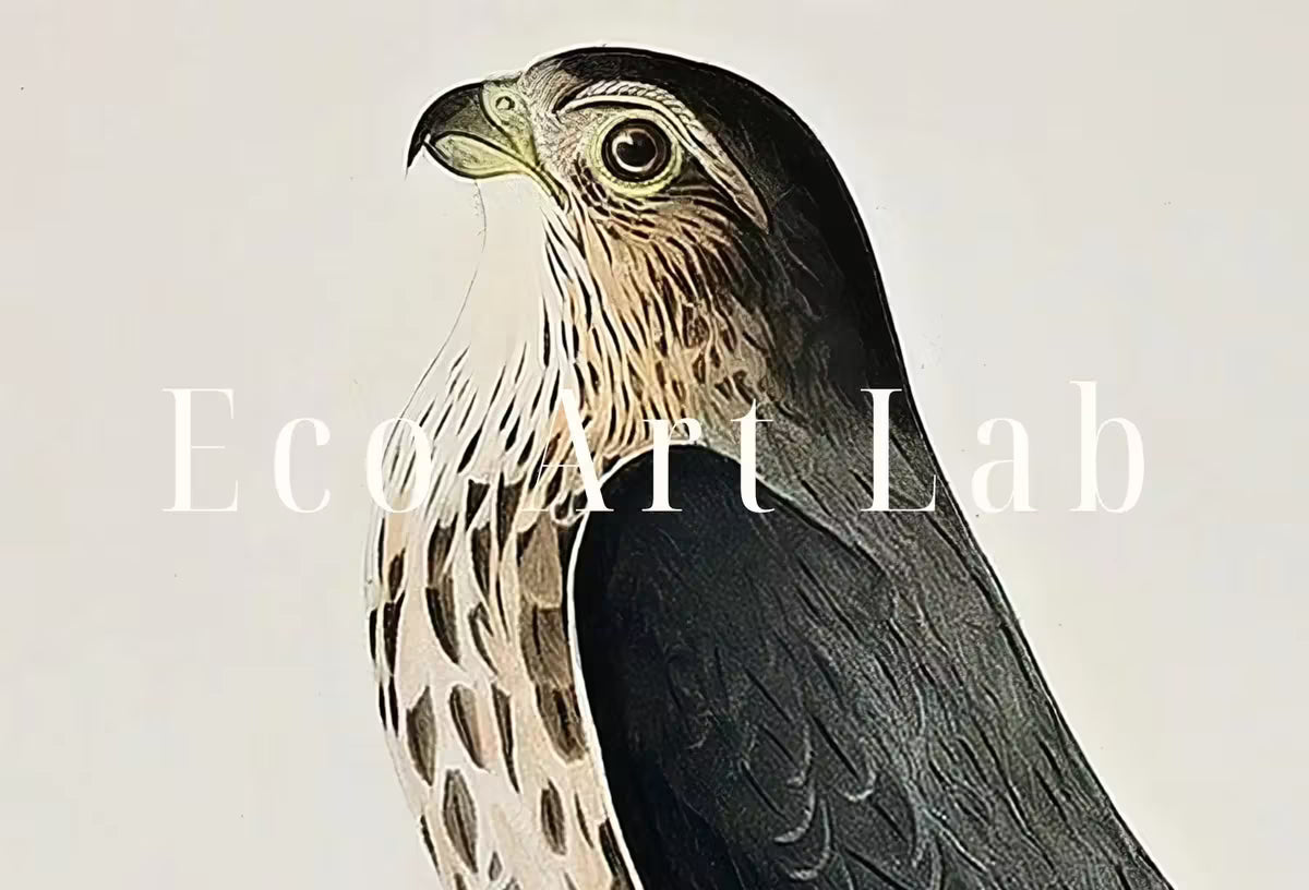 Vintage Falcon Perched on Branch Painting. Instant Download Printable Wall Art. Bird Painting. Merlin Falcon Wall Art Prints. Birds Poster – Printable Wall Art