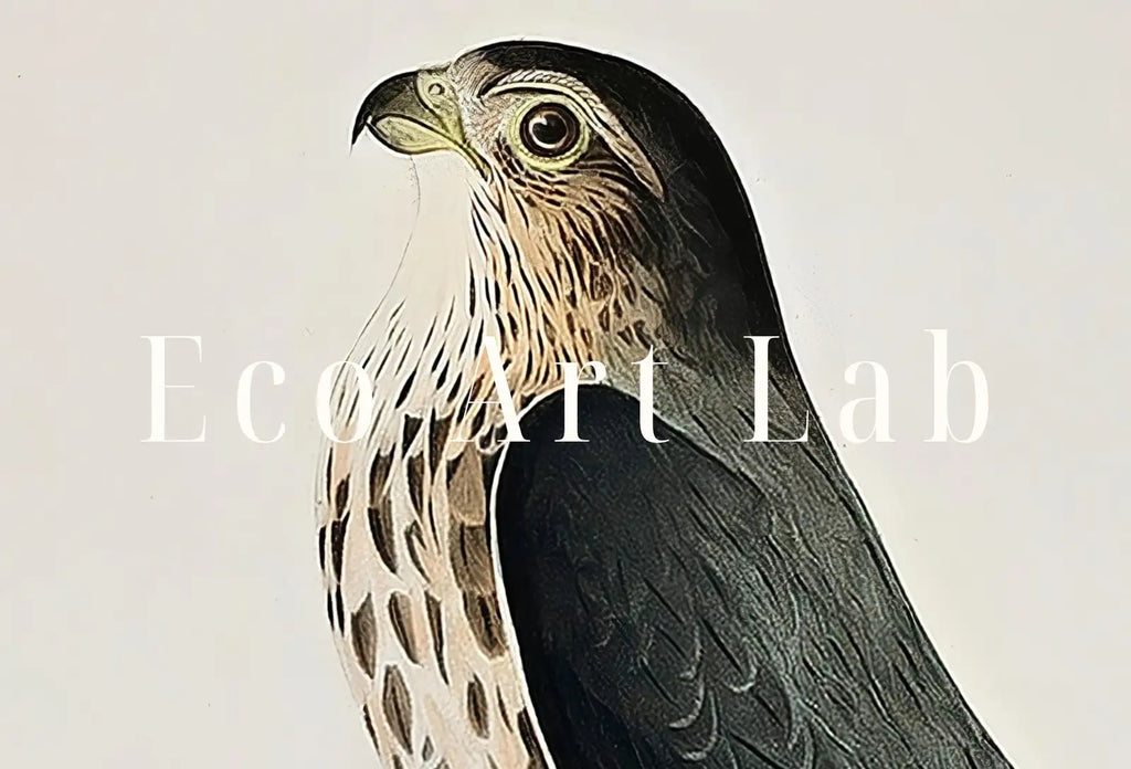 Second included artwork preview from Vintage Falcon Perched on Branch Painting. Instant Download Printable Wall Art. Bird Painting. Merlin Falcon Wall Art Prints. Birds Poster featuring various scenes.