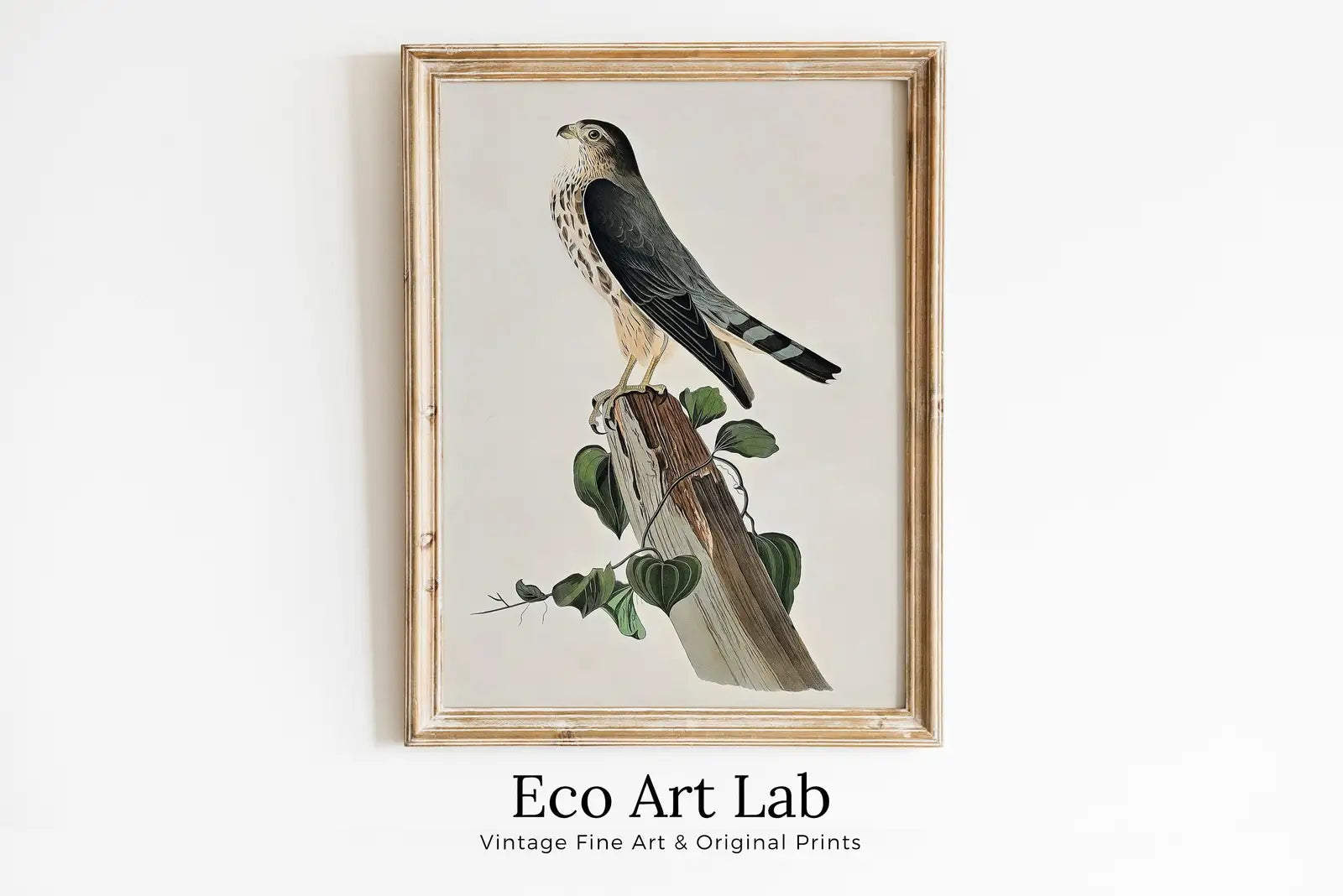 Vintage Falcon Perched on Branch Painting. Instant Download Printable Wall Art. Bird Painting. Merlin Falcon Wall Art Prints. Birds Poster – Printable Wall Art Digital Download – Digital Download
