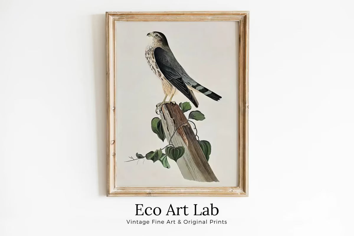 Vintage Falcon Perched on Branch Painting. Instant Download Printable Wall Art. Bird Painting. Merlin Falcon Wall Art Prints. Birds Poster – Printable Wall Art