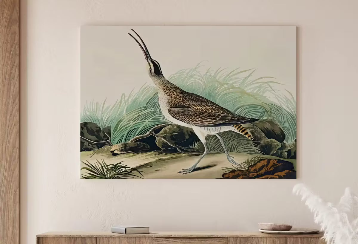 Vintage Hudsonian Curlew Exotic Bird Printable Wall Art. Wildlife Nature Colorful Tropical Decor. Instant Download. Bird Poster Art Print – Printable Wall Art