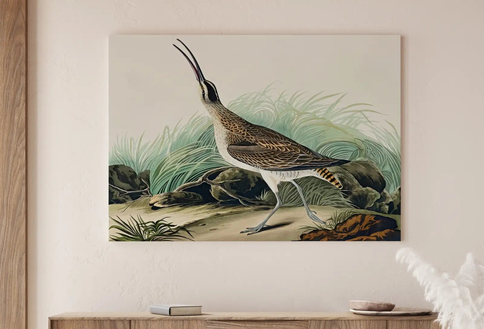 Vintage Hudsonian Curlew Exotic Bird Printable Wall Art. Wildlife Nature Colorful Tropical Decor. Instant Download. Bird Poster Art Print – Printable Wall Art Digital Download – Digital Download