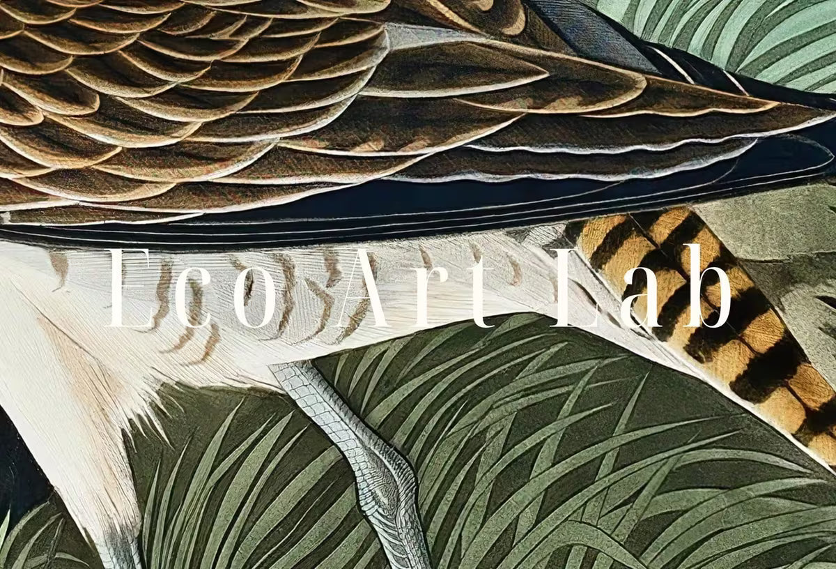 Vintage Hudsonian Curlew Exotic Bird Printable Wall Art. Wildlife Nature Colorful Tropical Decor. Instant Download. Bird Poster Art Print – Printable Wall Art