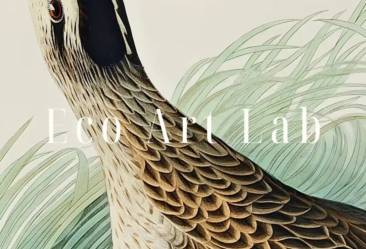 Vintage Hudsonian Curlew Exotic Bird Printable Wall Art. Wildlife Nature Colorful Tropical Decor. Instant Download. Bird Poster Art Print – Printable Wall Art