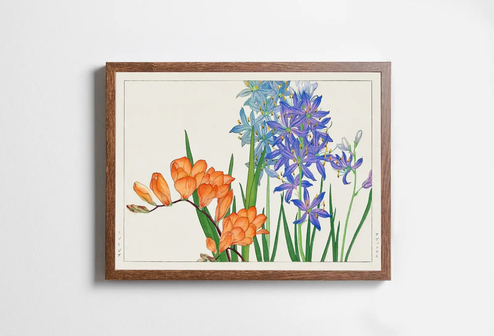 Art botanique japonais vintage, peinture de freesias, art mural à télécharger. Décor floral, art japonais antique. Affiche botanique.