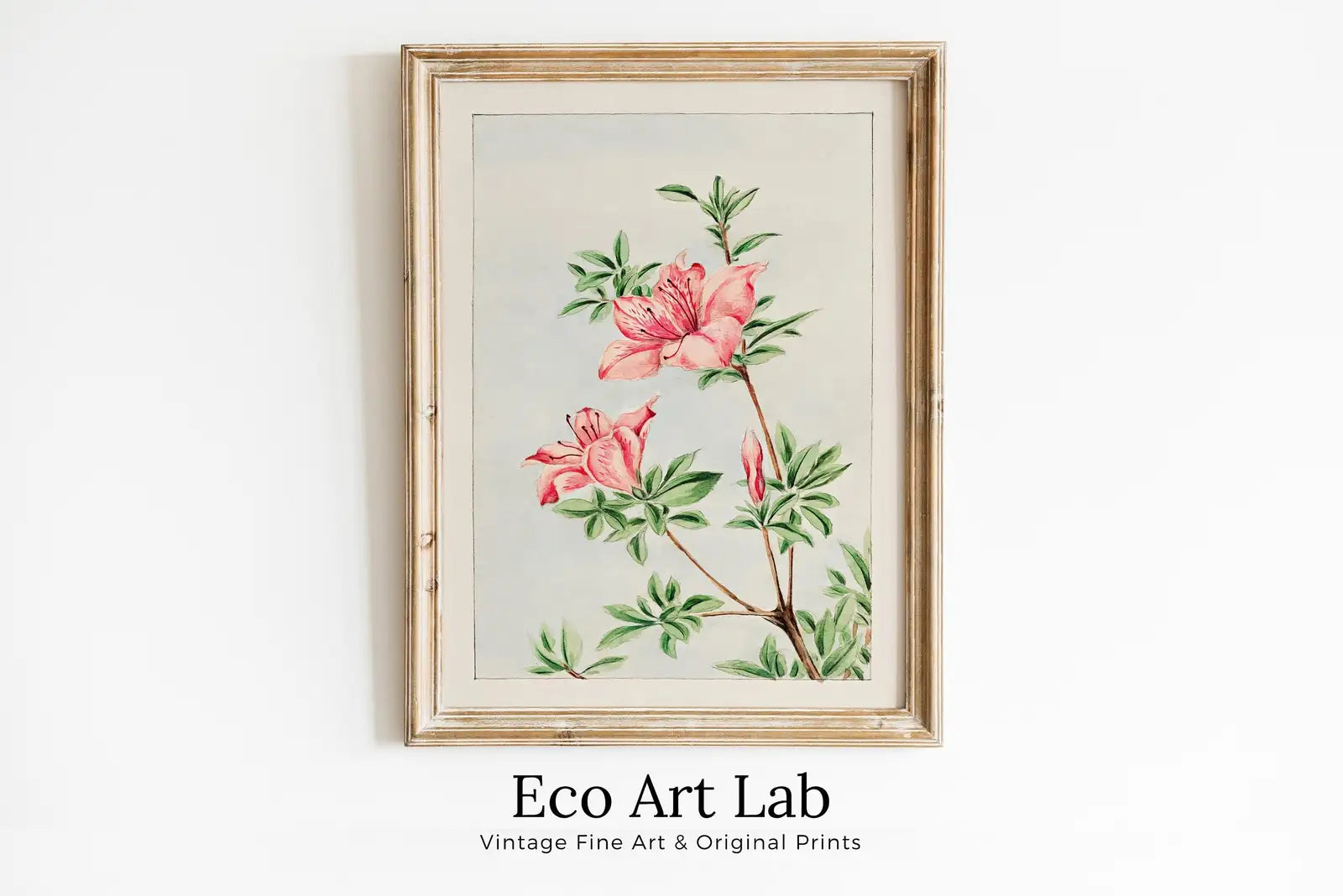 Art floral japonais vintage - Peinture d’azalée : Une illustration numérique d’art japonais antique représentant des azalées. Téléchargement instantané.