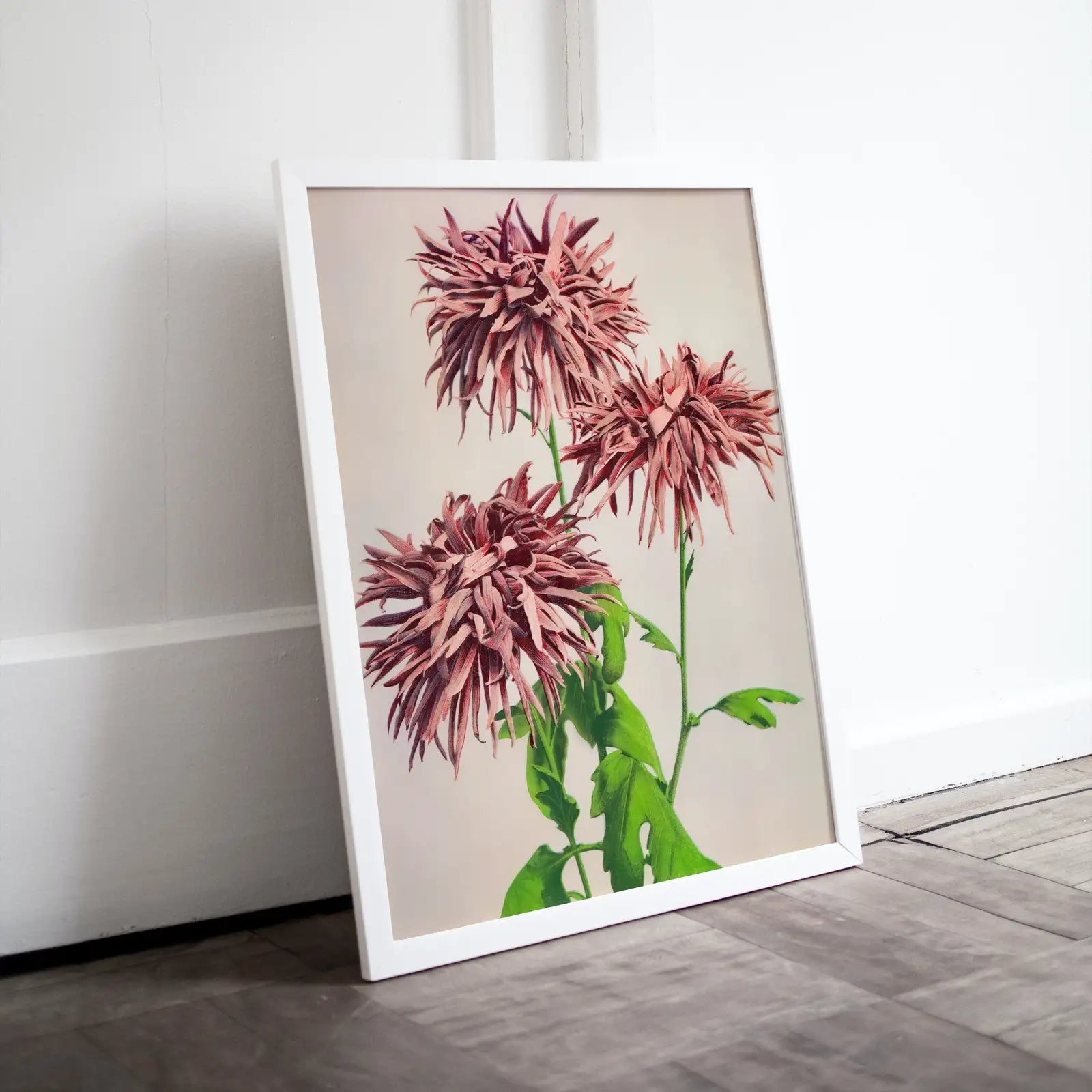 Art Floral Japonais - Peinture de Chrysanthèmes. Téléchargement instantané. Art japonais antique. Impression botanique pour la décoration murale.