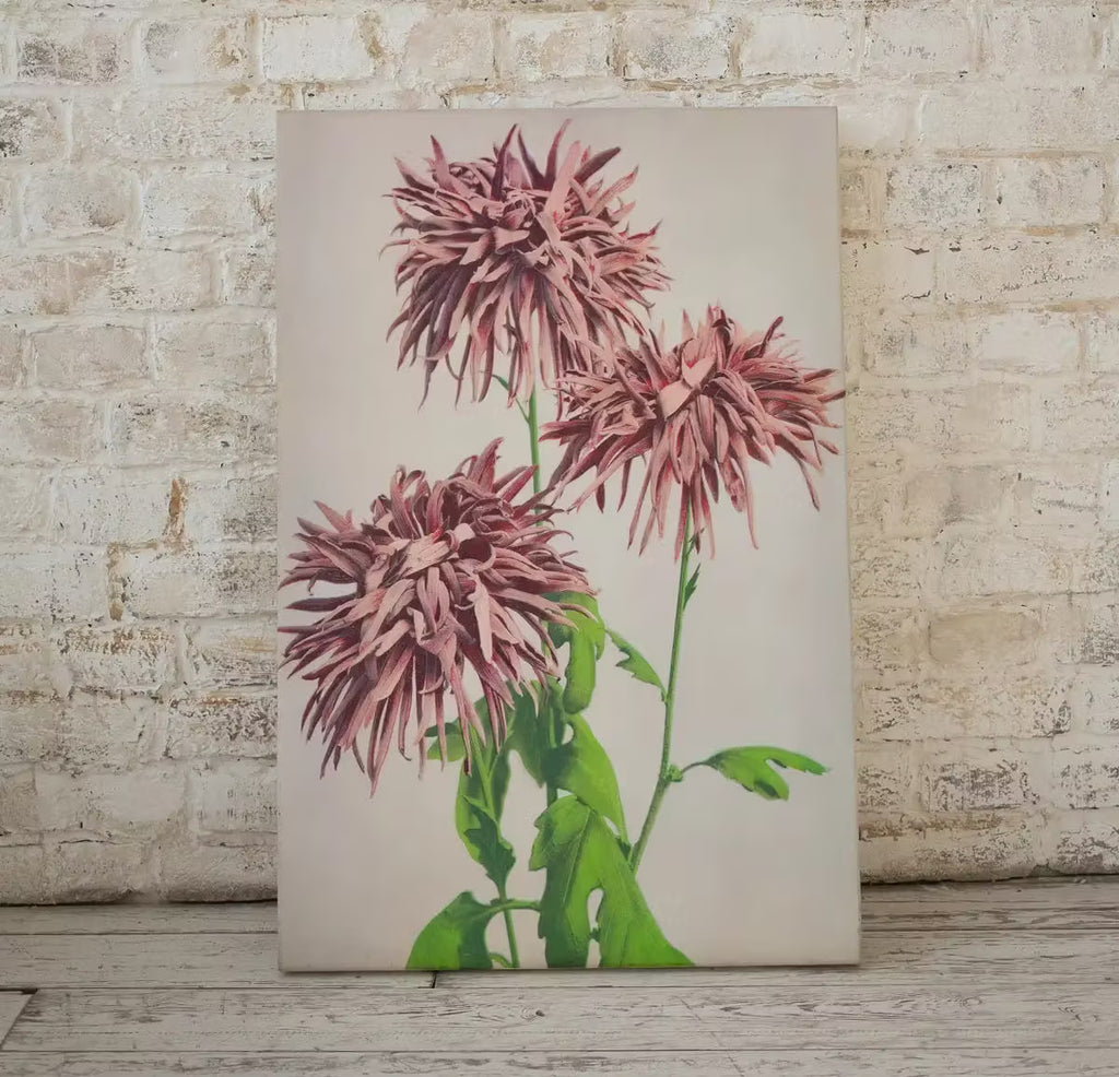 Vintage Japanese Flower Art Chrysanthemum Painting Printable Wall Art. Instant Download Antique Japanese Art Botanical Print Floral Wall Art – Printable Wall Art