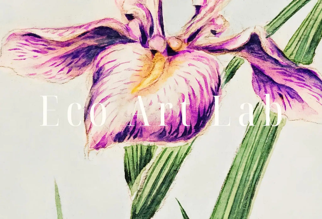 Art floral japonais vintage - Peinture d’orchidée : Une illustration numérique d’art japonais antique représentant des orchidées. Téléchargement instantané.