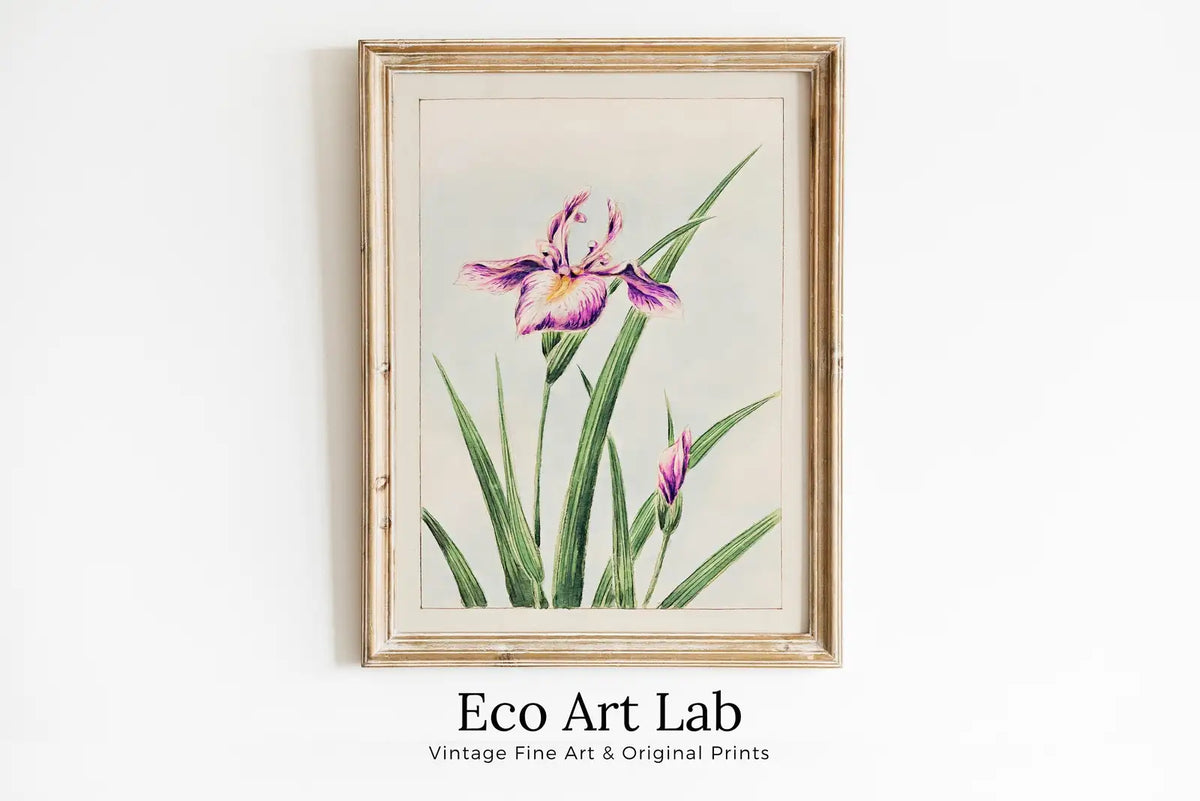 Vintage Japanese Flower Art Orchid Painting Printable Wall Art. Instant Download Antique Japanese Art Orchid Botanical Print Floral Wall Art – Printable Wall Art Digital Download – Digital Download