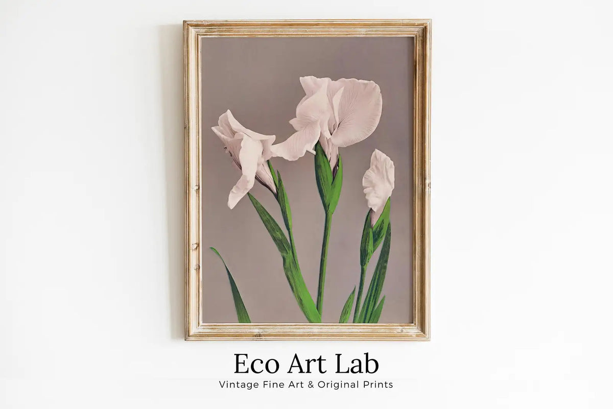 Framed view of Vintage Japanese Flower Art White Irises Painting Printable Wall Art. Instant Download Antique Japanese Art. Botanical Print Floral Wall Art – printable wall art digital download.