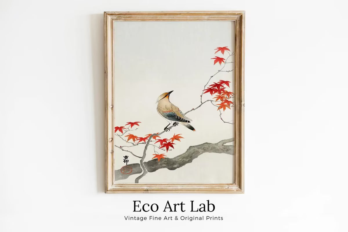 Vintage Japanese Painting. Bird on Maple Tree. Japanese Wall Art Printable Poster. 20th Century Japanese Vintage Spring Wall Art, Bird Art – Printable Wall Art