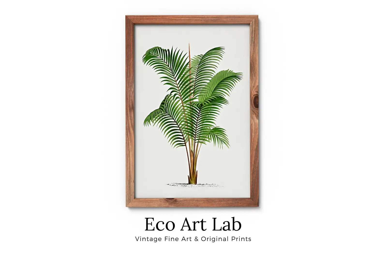 Dessin de palmier vintage, impression numérique d’art mural tropical. Décoration de feuilles de palmier, poster de nature en téléchargement instantané, illustration botanique #02.