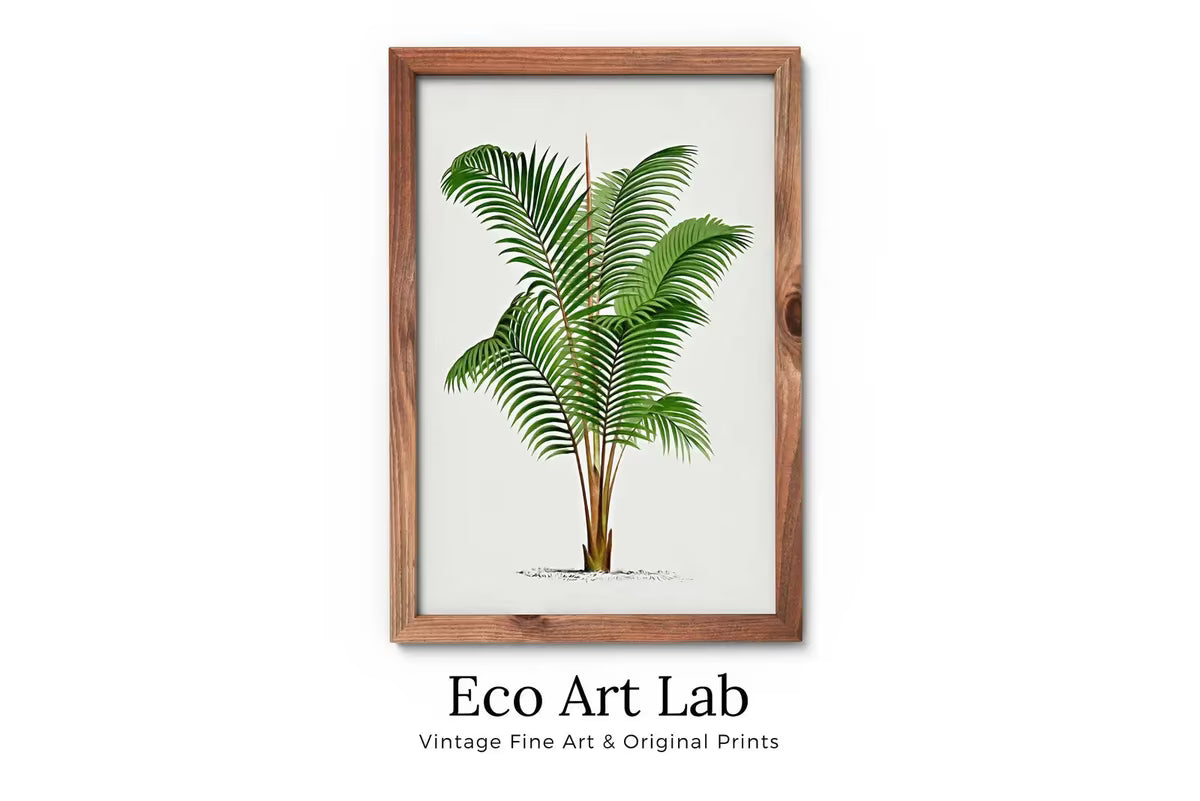 Vintage Palm Tree Drawing Digital Print Tropical Wall Art. Palm Leaves Decor, Nature Poster Instant Download Botanical Illustration #02 – Printable Wall Art