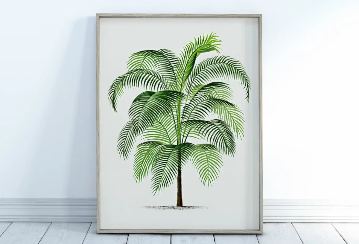 Vintage Palm Tree Drawing Print Tropical Wall Art. Palm Leaves Tree Decor, Retro Nature Poster Instant Download Botanical Illustration #17 – Printable Wall Art