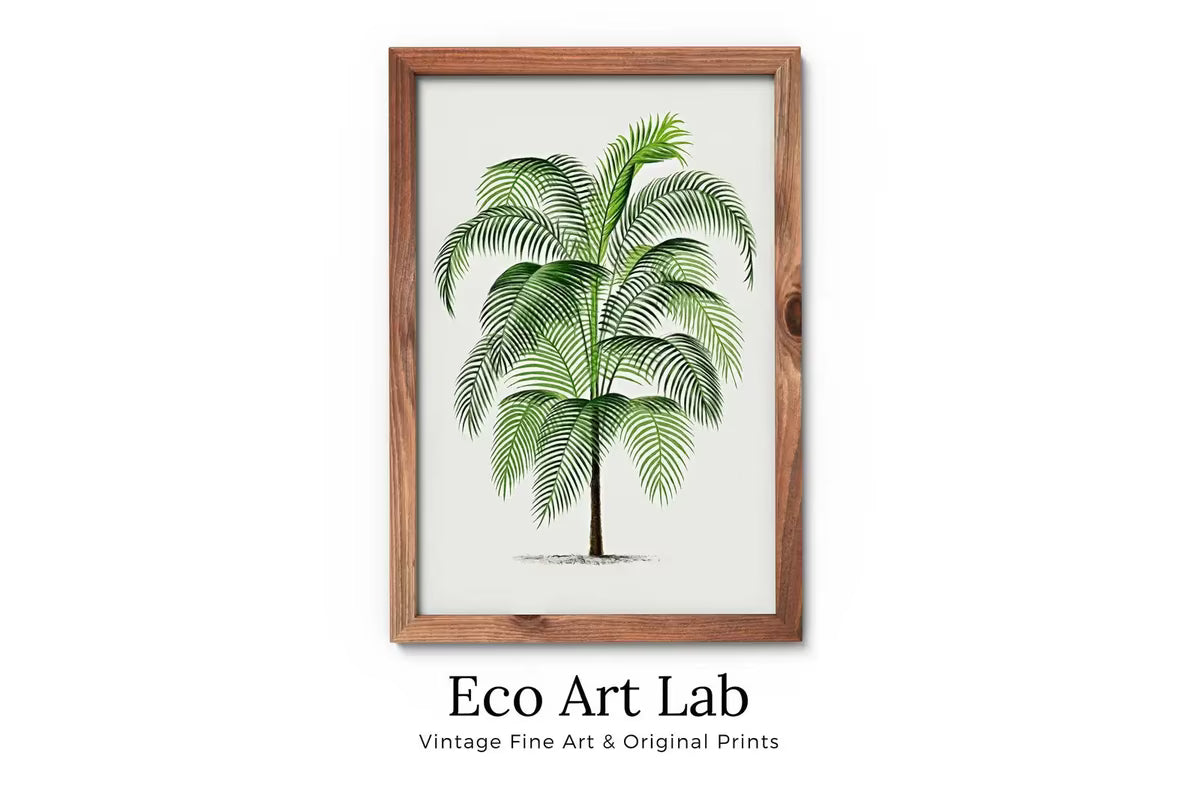 Vintage Palm Tree Drawing Print Tropical Wall Art. Palm Leaves Tree Decor, Retro Nature Poster Instant Download Botanical Illustration #17 – Printable Wall Art