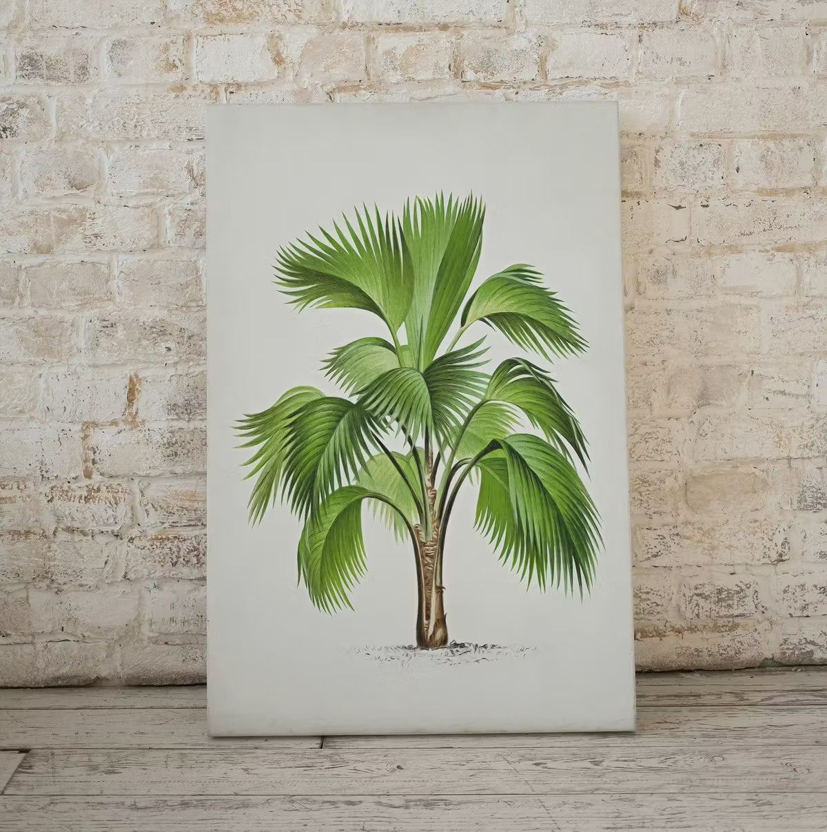 Vintage Palm Tree Drawing Print Tropical Wall Art. Palm Leaves Tree Decor, Retro Nature Poster Instant Download Botanical Illustration #29 – Printable Wall Art