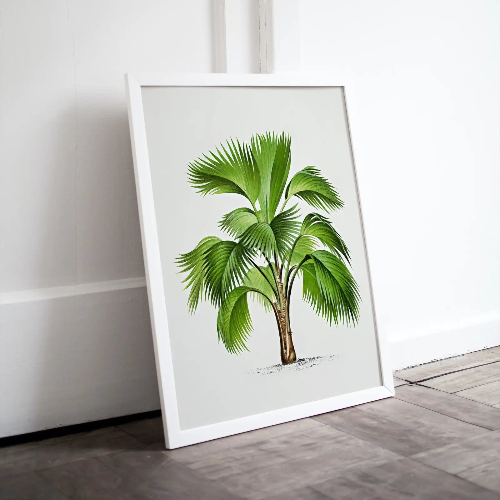 Impression de dessin de palmier vintage. Art mural tropical avec feuilles de palmier. Affiche rétro de la nature. Téléchargement instantané d’illustration botanique #29.