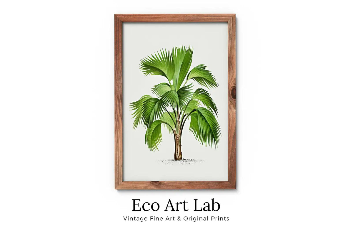 Framed view of Vintage Palm Tree Drawing Print Tropical Wall Art. Palm Leaves Tree Decor, Retro Nature Poster Instant Download Botanical Illustration #29 – printable wall art digital download.
