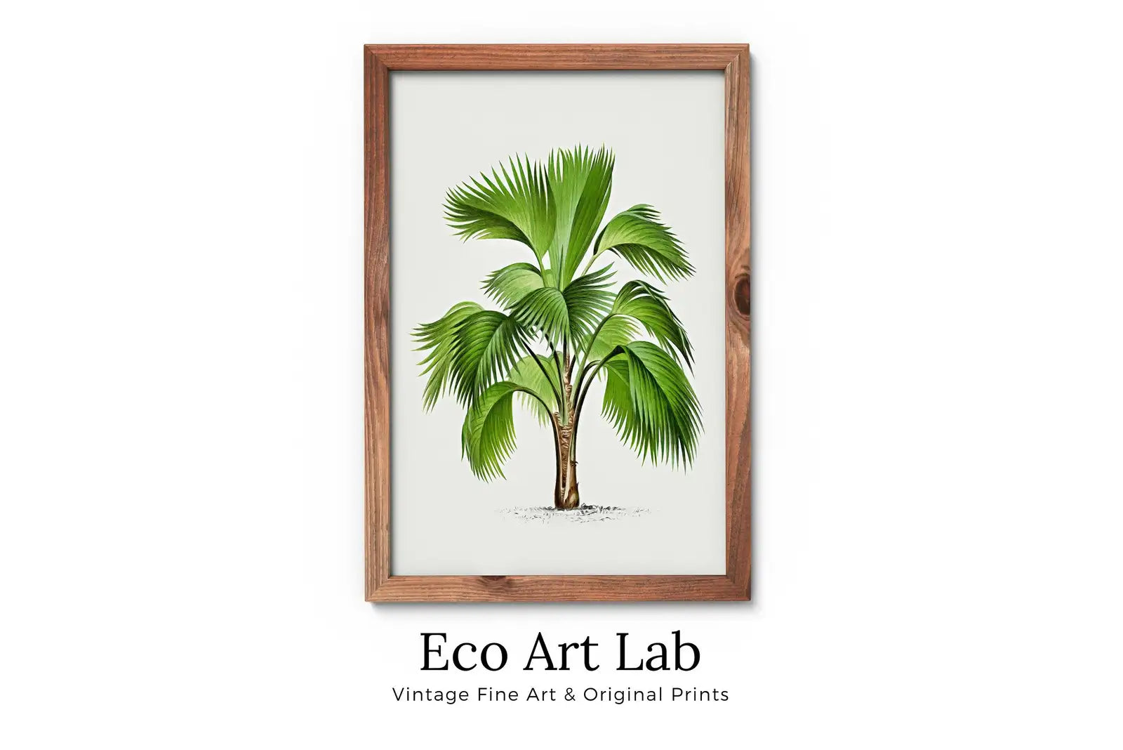 Impression de dessin de palmier vintage. Art mural tropical avec feuilles de palmier. Affiche rétro de la nature. Téléchargement instantané d’illustration botanique #29.