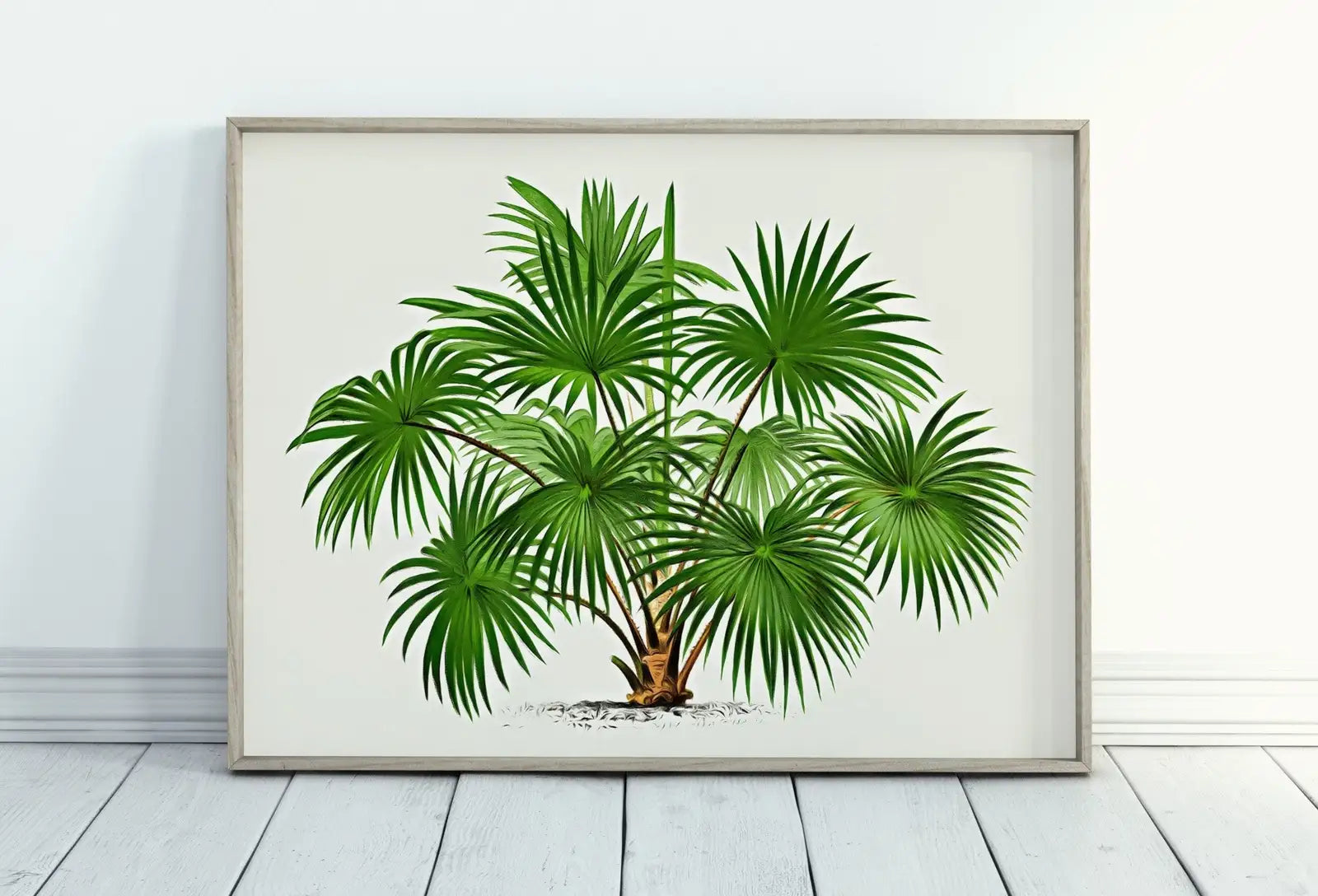 Dessin vintage de palmier, œuvre murale tropicale. Décor de palmier, affiche rétro téléchargement instantané, illustration botanique numérique #08.