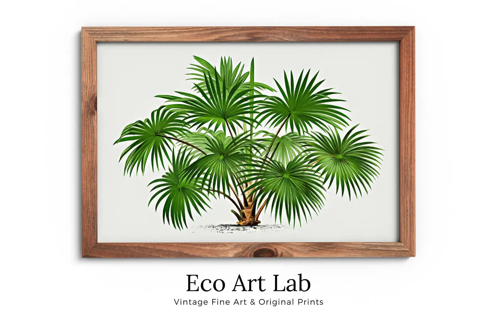 Dessin vintage de palmier, œuvre murale tropicale. Décor de palmier, affiche rétro téléchargement instantané, illustration botanique numérique #08.