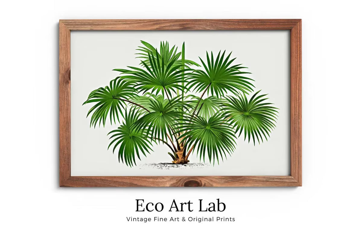 Vintage Palm Tree Drawing Print Tropical Wall Art. Palm Tree Decor, Retro Poster Instant Download Botanical Illustration, Digital Print #08 – Printable Wall Art