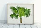 Vintage Palm Tree Print Tropical Wall Art. Palm Leaves Tree Decor, Retro Nature Poster Instant Download Botanical Print, Palm Trees Art #34 – Printable Wall Art
